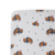 Bison