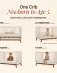 dadada Baby Soho 3-in-1 Convertible Crib