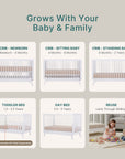 dadada Baby Soho 3-in-1 Convertible Crib