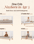 dadada Baby Soho 3-in-1 Convertible Crib